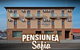 Pensiunea Sofia
